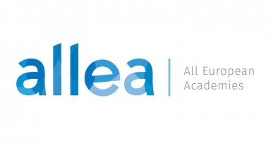 ALLEA-398fa311d878945c3b489de1edf94b5b.jpg