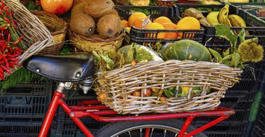 The shift to a more sustainable food system is inevitable. Here&rsquo;s how to make it happen