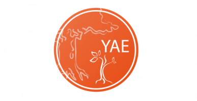 vik-efe3a92beaa0619d5b5a12b2dfe5230e.png